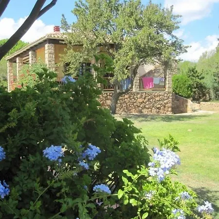Am Tatil Evi